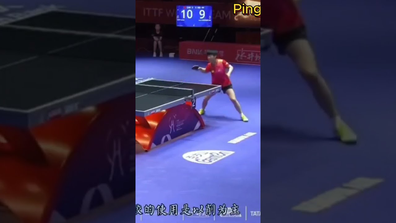 射手之一