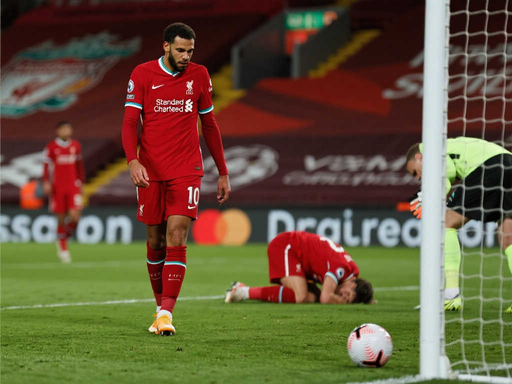 双足如影随 双足如影随